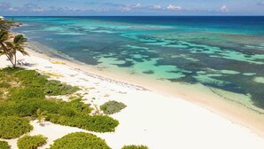 Ein Strand mit klarem türkisblauem Wasser, weißem Sand und üppiger Vegetation.