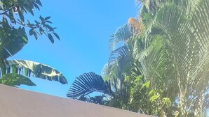 A wooden door with the number 314, part of a building with a concrete exterior and a view of palm trees. - KITE BEACH HOTEL Ocean View Penthouse with 2 Decks Cabarete (Cabarete)