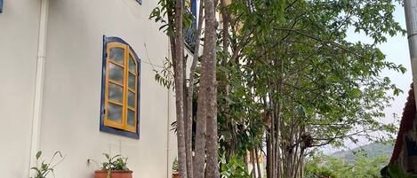 Un edificio con aires acondicionados, una ventana con contraventanas amarillas y plantas en macetas.