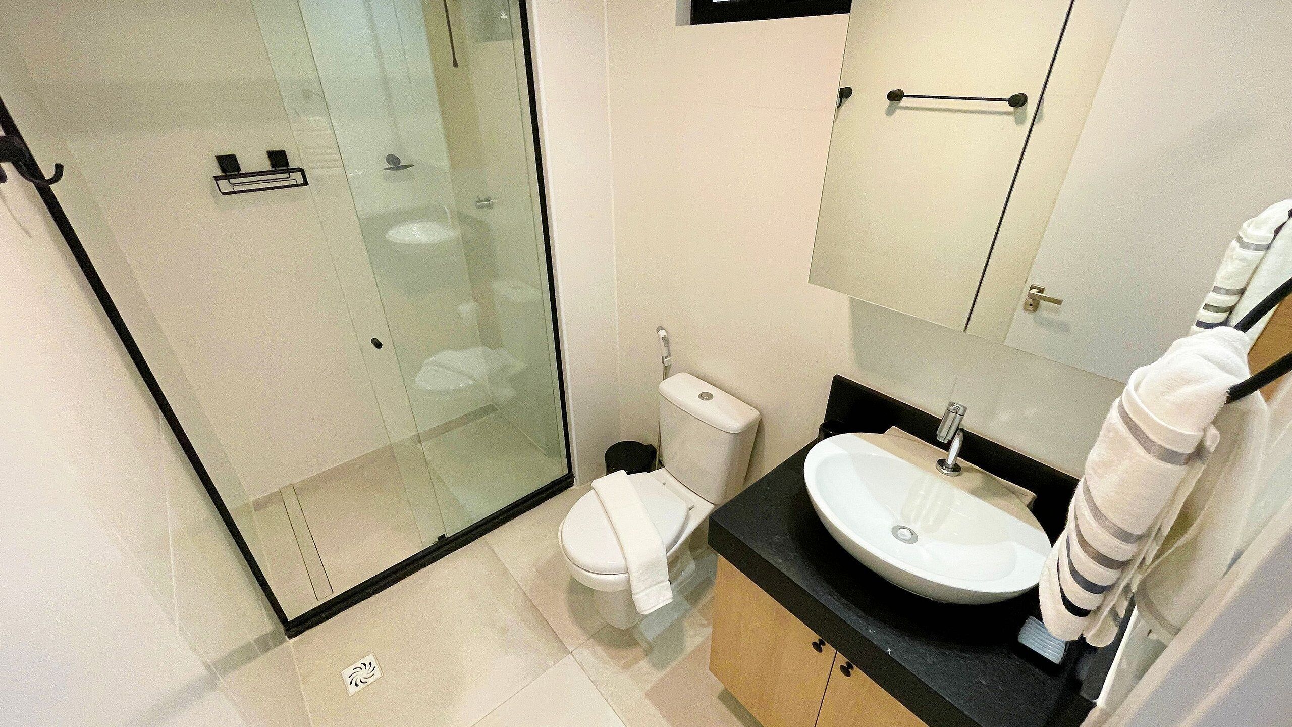 A modern bathroom with a glass shower enclosure, a toilet, and a sink with a mirror above.