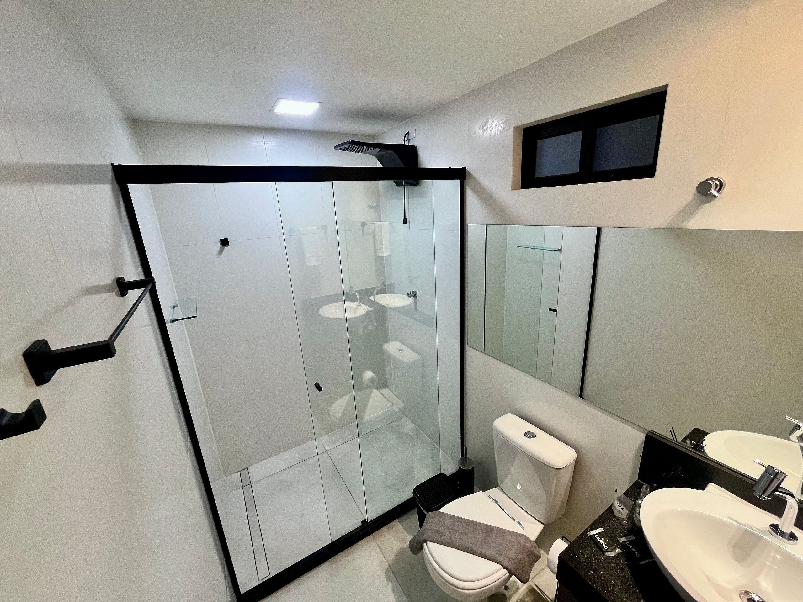 A modern bathroom with a glass shower enclosure, a toilet, a sink, and a mirror.