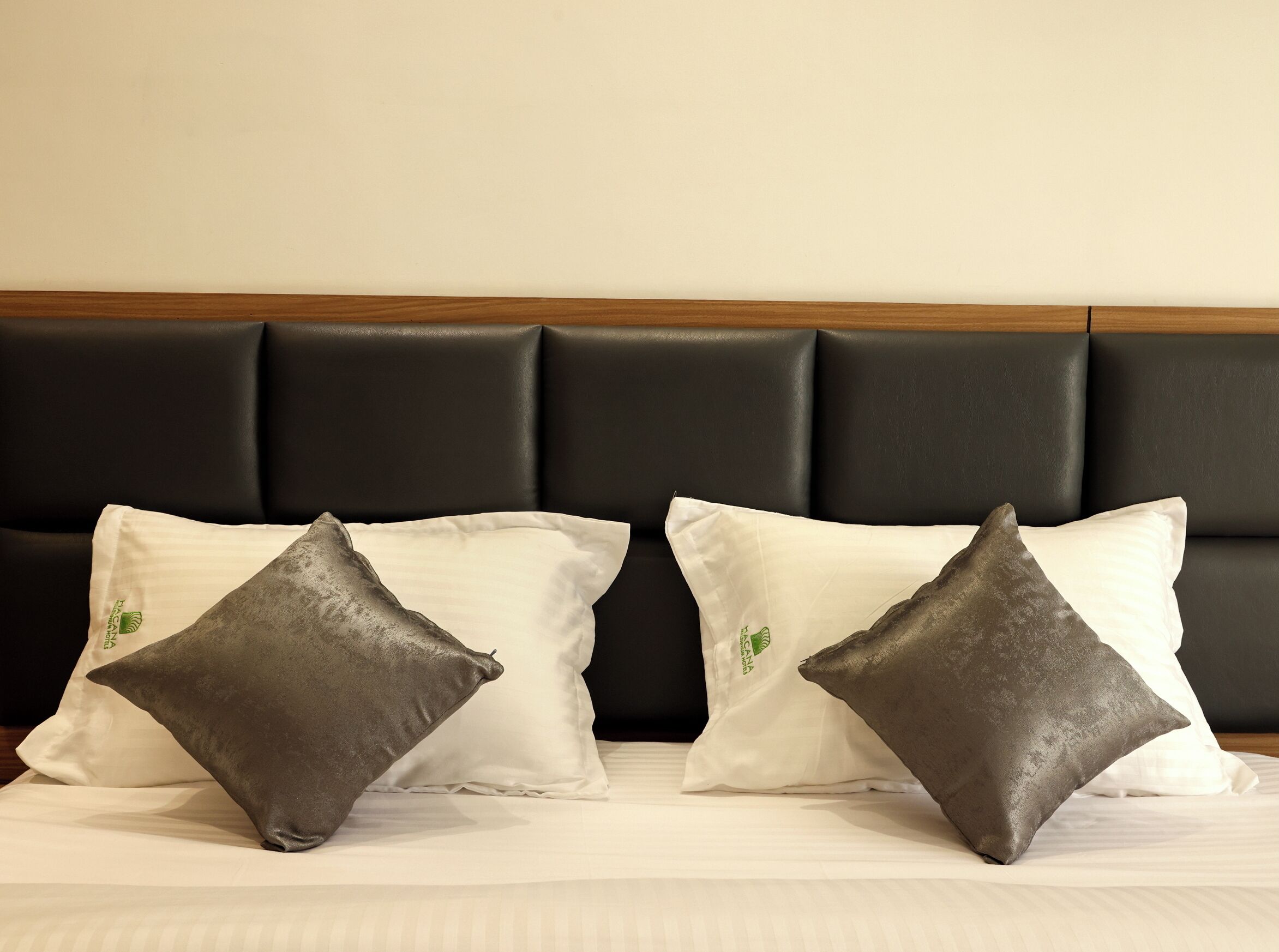 Foto - Hacana Millenium Hotel HITEC City