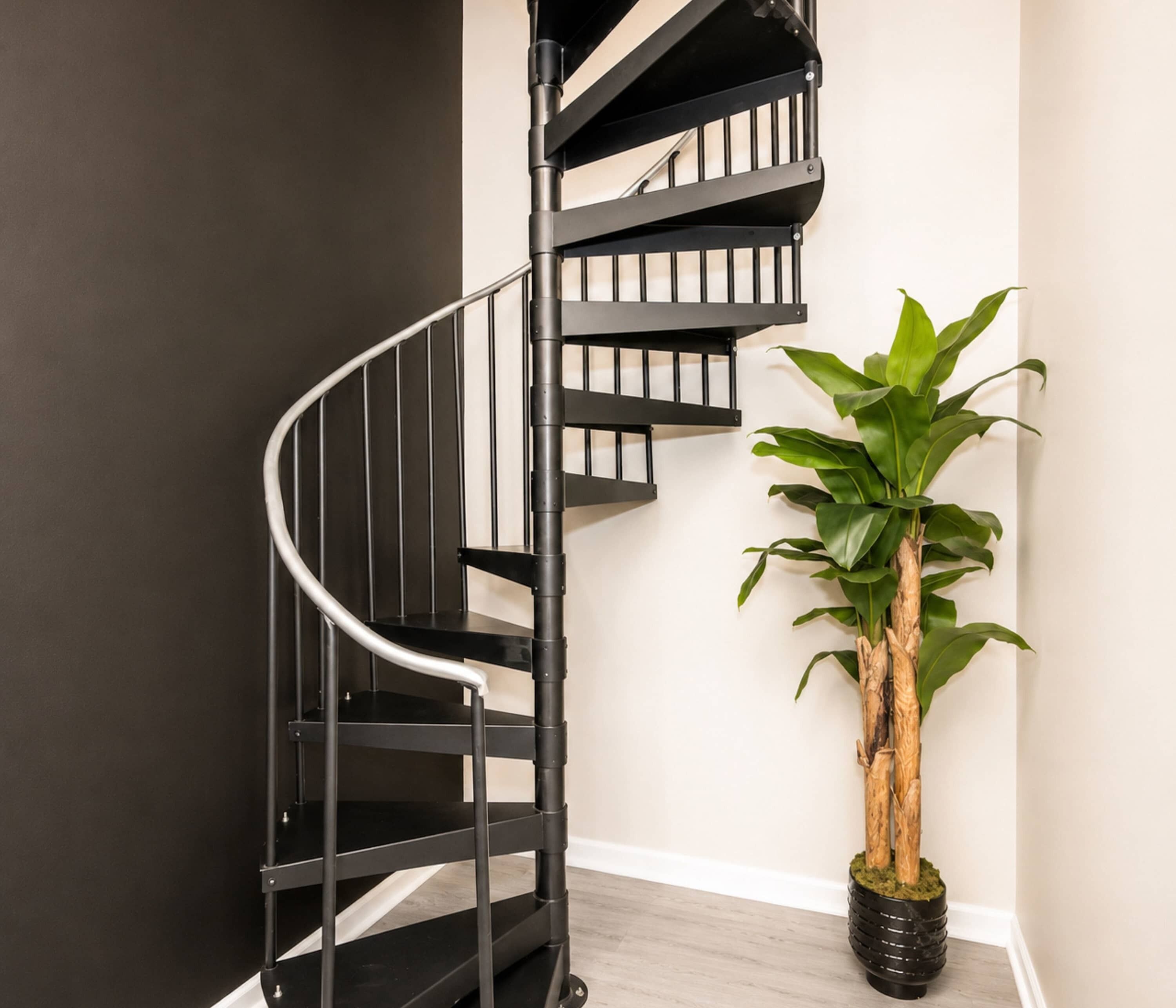 Una escalera de caracol con baranda de metal negro, una planta en maceta con hojas verdes y una pared de color claro.