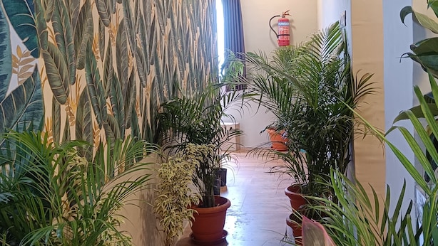 Un pasillo con pared estampada, plantas en macetas, señal de salida de incendios y techo con iluminación empotrada.