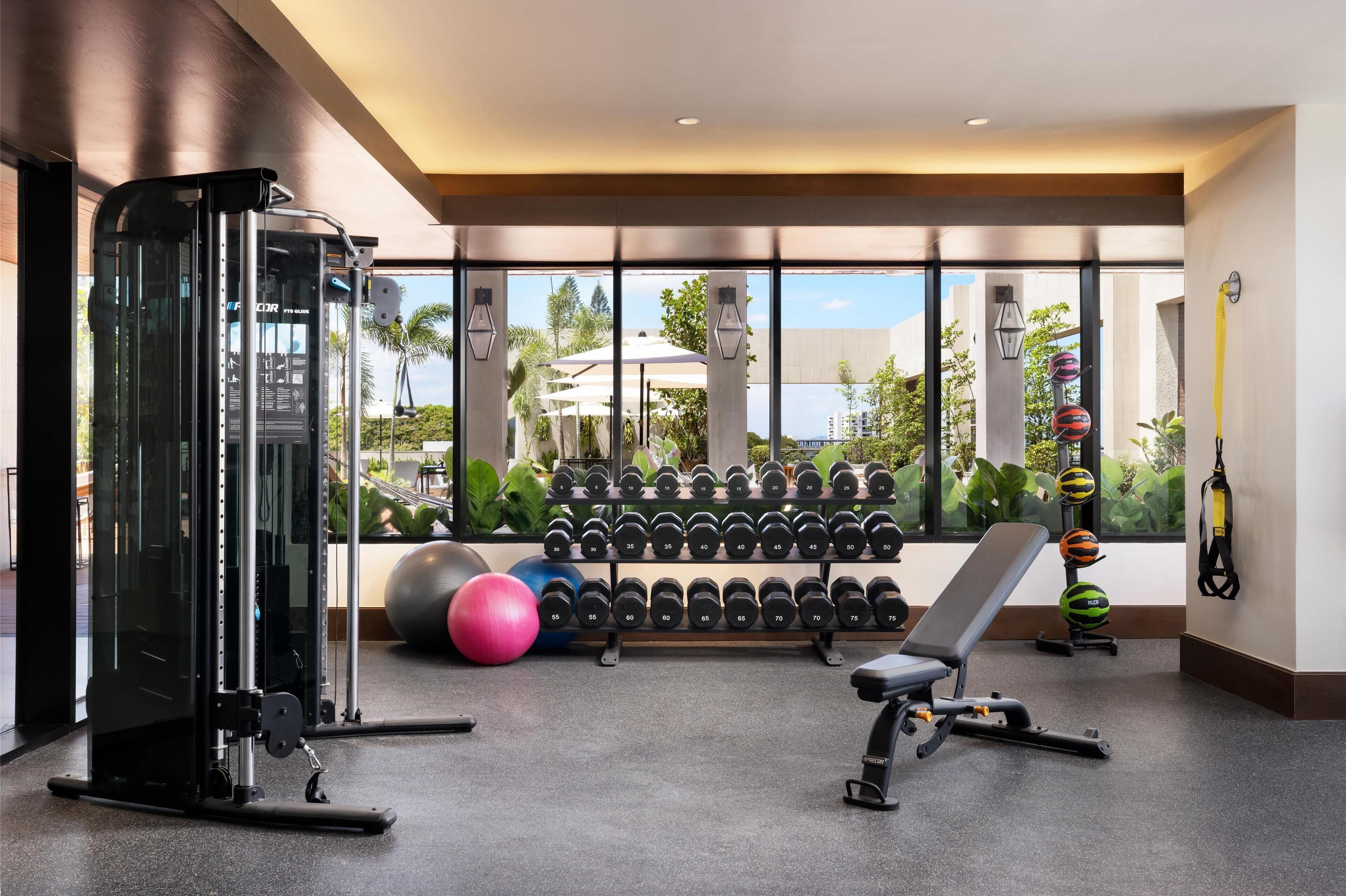 A gym with weightlifting equipment, dumbbells, exercise balls, and a bench.
