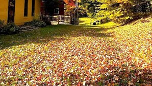 A yellow building with a black roof, surrounded by trees with autumn leaves. - Charming 3-bedroom house in marvelous Moretown (Moretown)