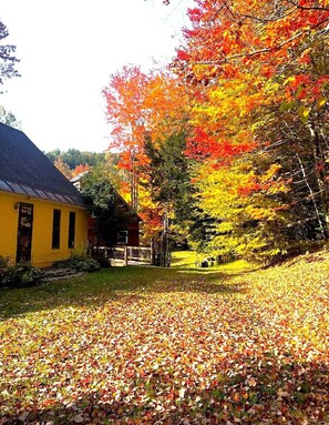 Property grounds - Charming 3-bedroom house in marvelous Moretown (Moretown)