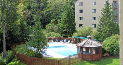 MightyMoose- Pool, Hot tub, Sauna, Gym, Near Resort