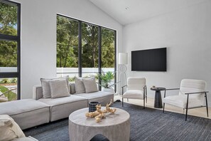 Smart TV, fireplace, books