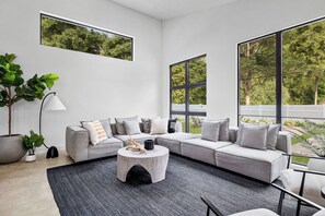 Smart TV, fireplace, books