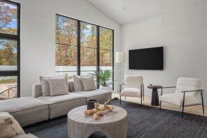 TV connectée, cheminée, livres