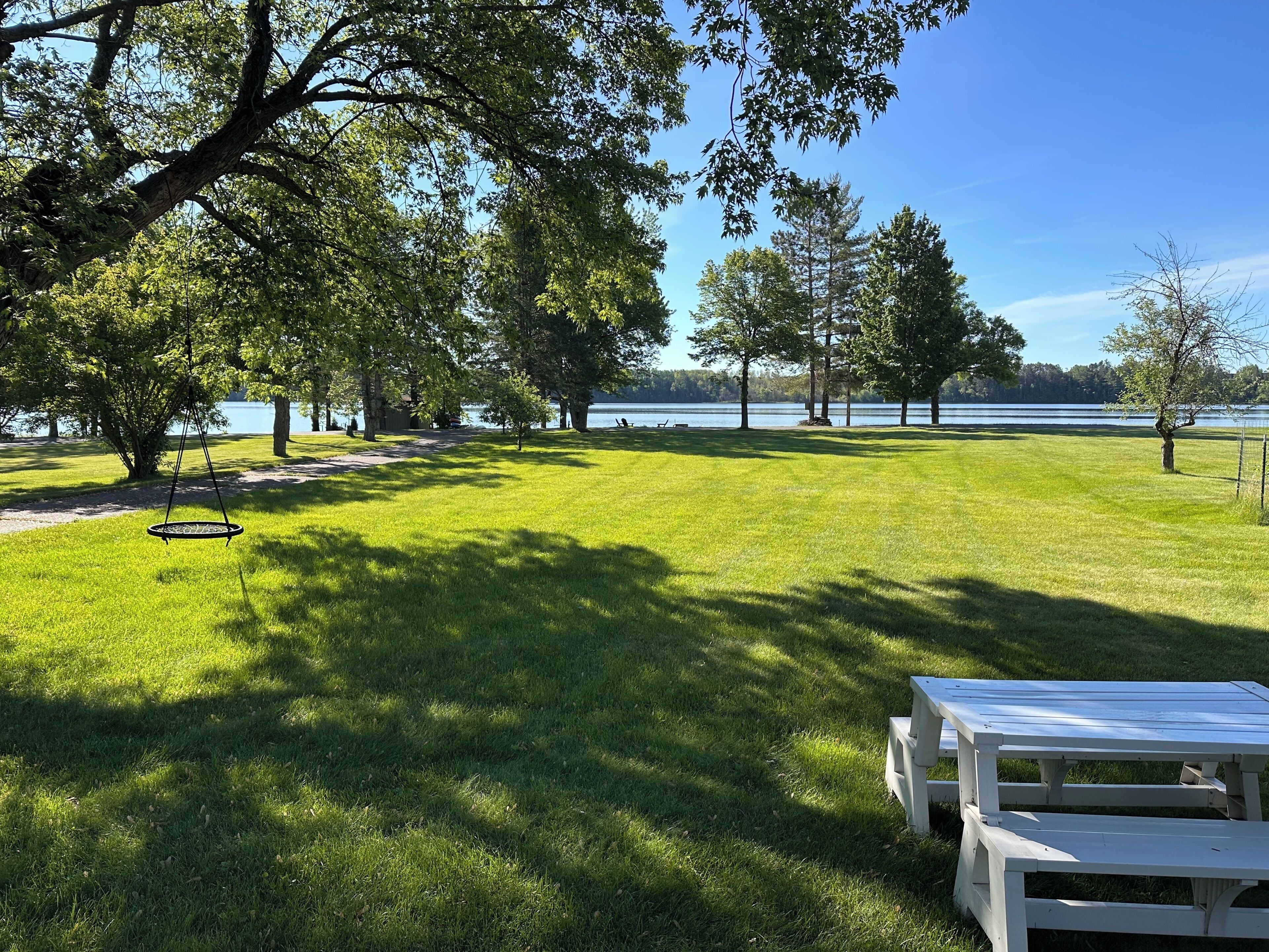 A grassy park area with a swing set, picnic table, and trees.