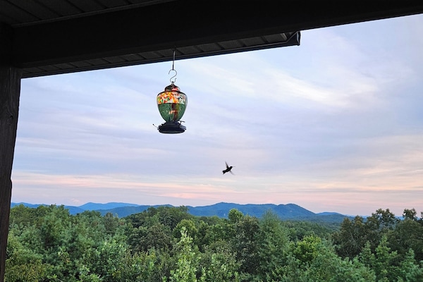 A Happy Hummingbird