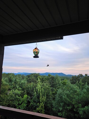 Mountain Views All Year! Charming 3-Bed Cabin Just Minutes from Downtown