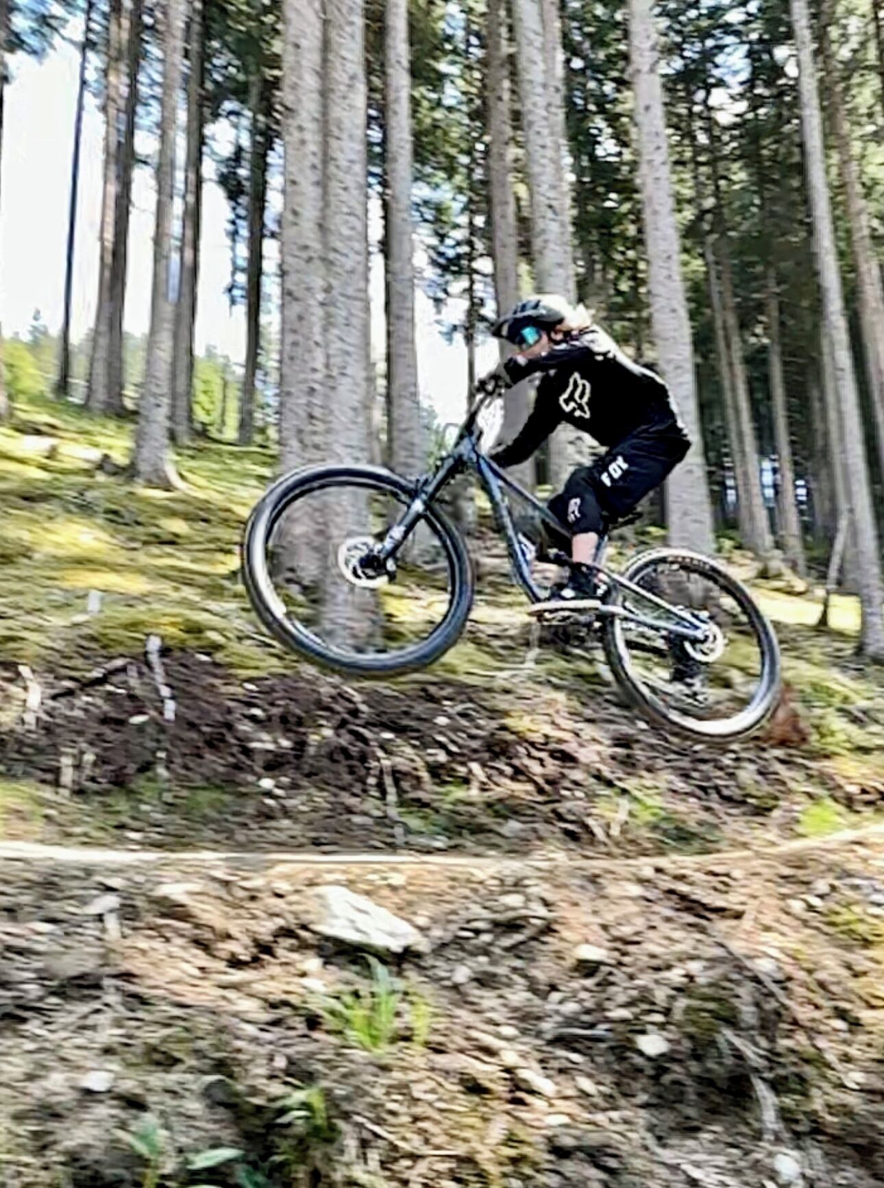 En mountainbiker på en sti omgivet af træer.