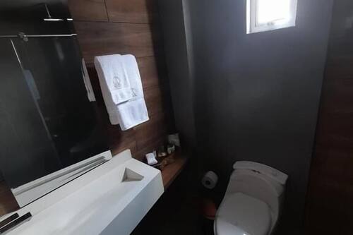 Habitación estándar doble | Baño | Ducha, artículos de higiene personal gratuitos, jabón y champú