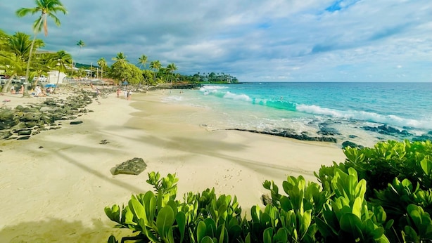 Une plage à l’eau turquoise et limpide, bordée de palmiers et d’un rivage sablonneux.