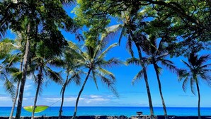 Une vue sur la plage, avec des palmiers, une table de pique-nique et un banc.