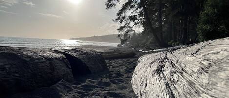 Playa en los alrededores y toallas de playa