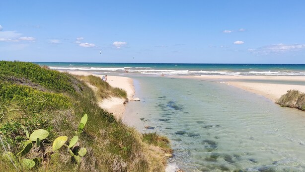Ein Strand mit klarem Wasser, sandigem Ufer und vereinzelter Vegetation.