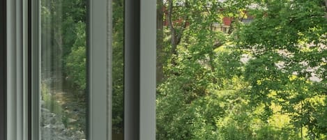 Una ventana con vistas a un paisaje natural que incluye árboles y un arroyo.