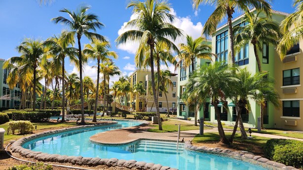Una piscina rodeada de palmeras y edificios.