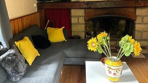 Una sala de estar acogedora con chimenea, un sofá con cojines, un televisor y un florero con flores sobre una mesa.