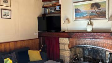 Smart-TV, Kamin