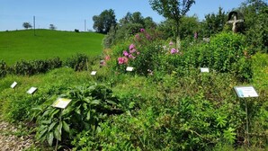 Un jardín con diversas plantas y una escultura en forma de cruz.