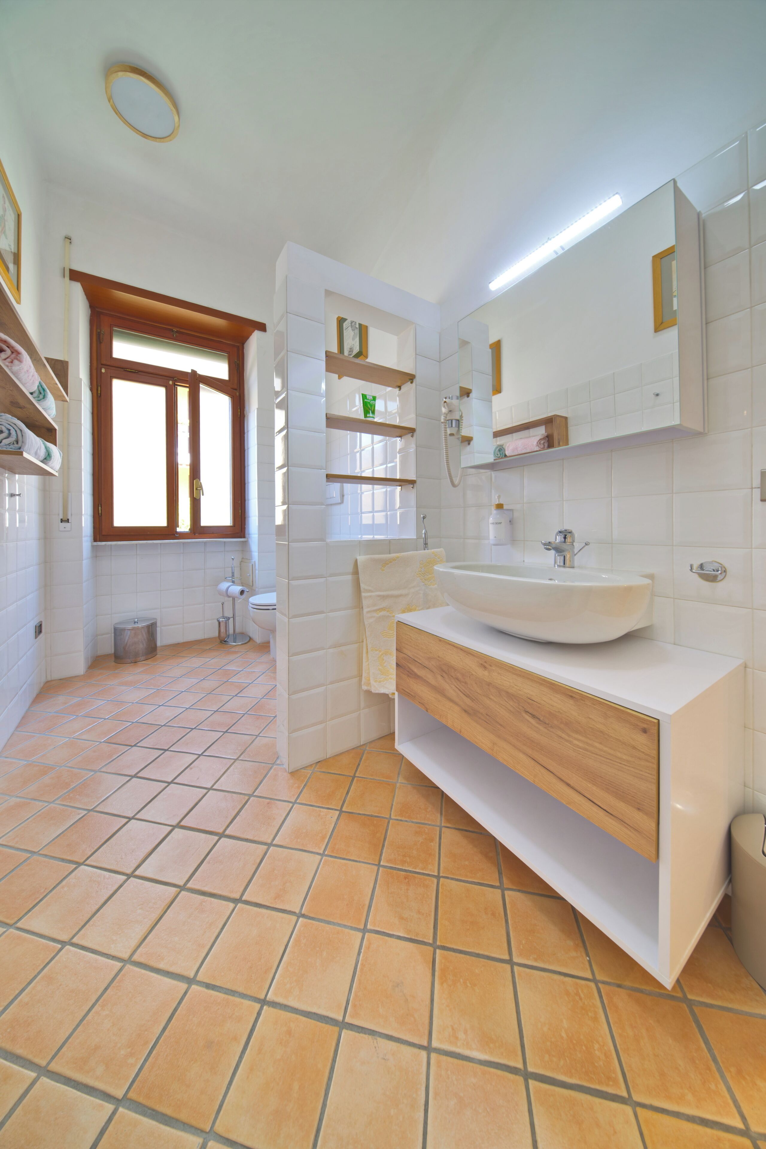 Hair dryer, bidet, towels, soap