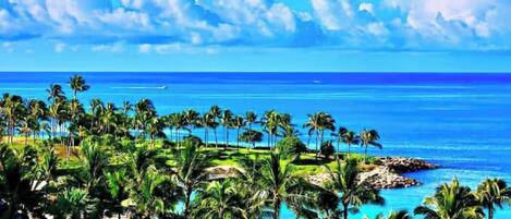 Sun-loungers, beach towels