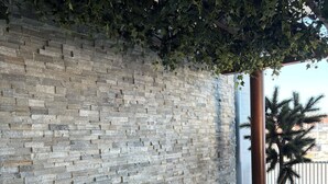 Un espace piscine intérieure avec un mur en briques, une échelle en métal et une rangée de fougères et de rochers le long du bord.