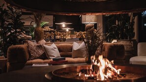 Un salon chaleureux avec une cheminée, des fauteuils confortables et diverses plantes.
