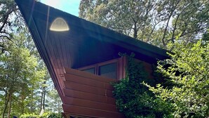 A modern cabin with a sloped roof, surrounded by dense foliage. - Stunning Waterfront Home with Private Dock - Wright on the Water! (Belle Haven)