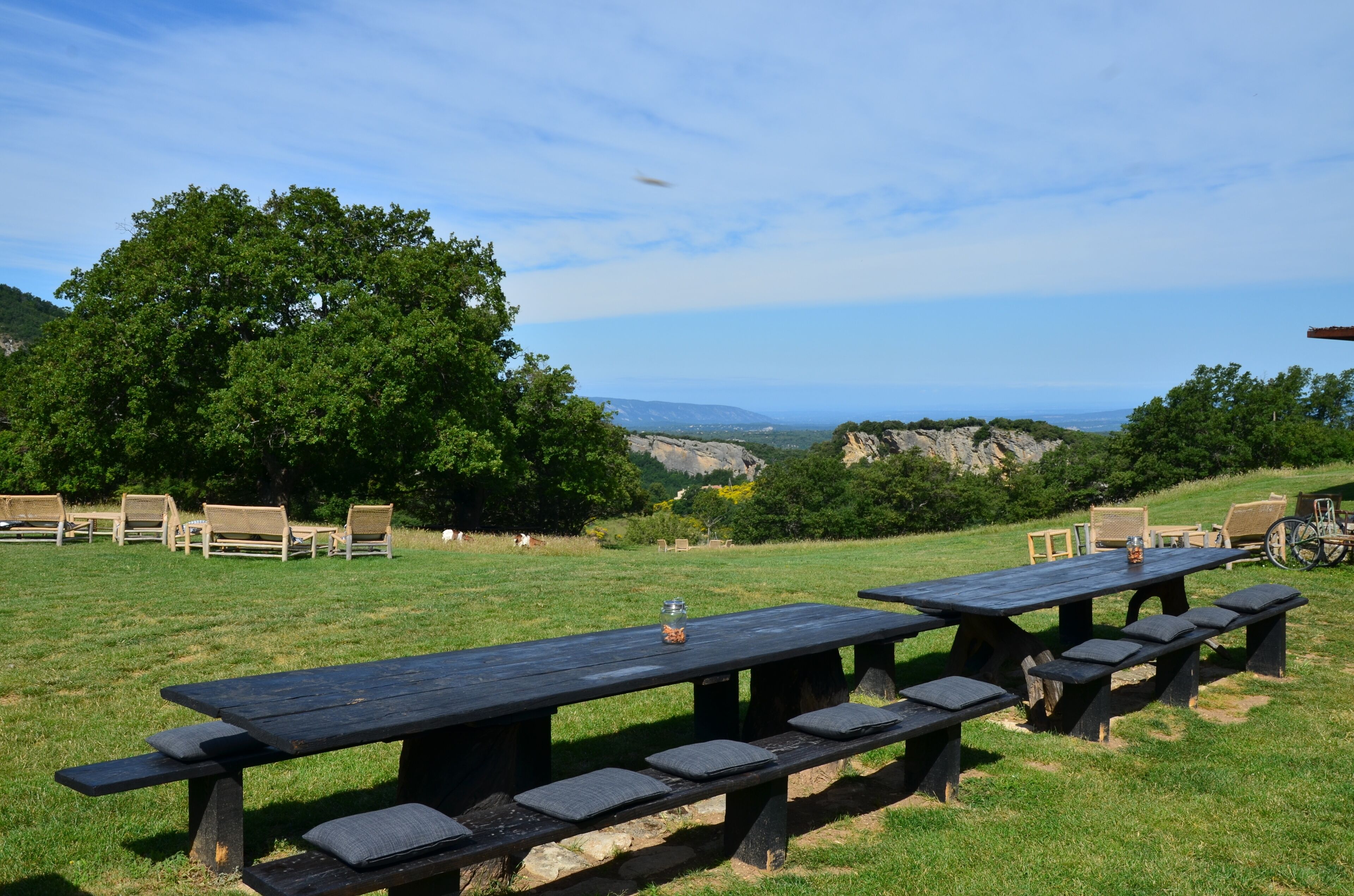 A picnic area with wooden tables and benches, surrounded by trees and a view of distant hills.