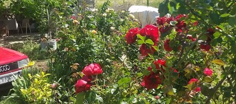 Apartments in Pasman/insel Pasman 6909