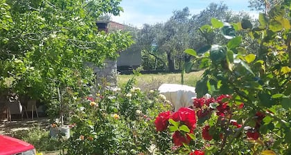 Apartments in Pasman/insel Pasman 6909
