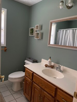 Bathroom - Perfect Location Ping Pong Foosball Fireplace (Sevierville)