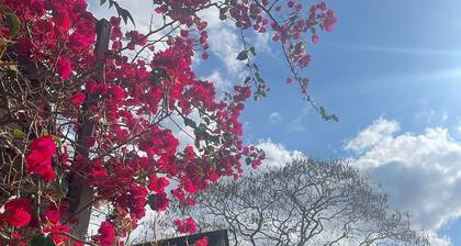 Spacious 3-bedroom cabin in tranquil Vale with WiFi