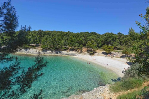 Apartments in Pula/istrien 10949