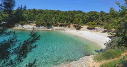 Apartments in Pula/istrien 10949