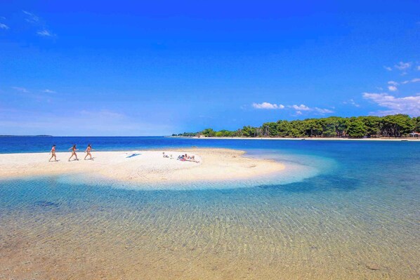 Exterior - Apartments in Pula/istrien 11169 (Pula)