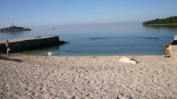 A pebbled beach with a calm sea, a distant island with a tower, and a clear sky. - Apartments in Rovinj/istrien 11491 (Rovinj)