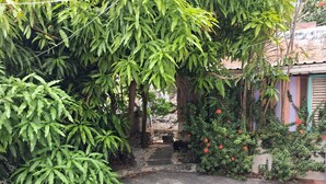 A concrete pathway leading to a stone staircase surrounded by lush green foliage and red flowers. - Budget Adventurer's Hut (Bridgetown)