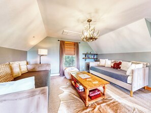 TV connectée, cheminée, livres, chaîne hi-fi