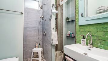 Shower, hair dryer, bidet, towels