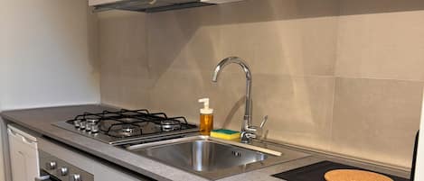 Frigorífico, microondas, horno y placa de cocina