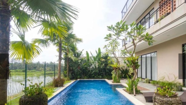 Una piscina rectangular rodeada de plantas tropicales y un edificio moderno con balcones.