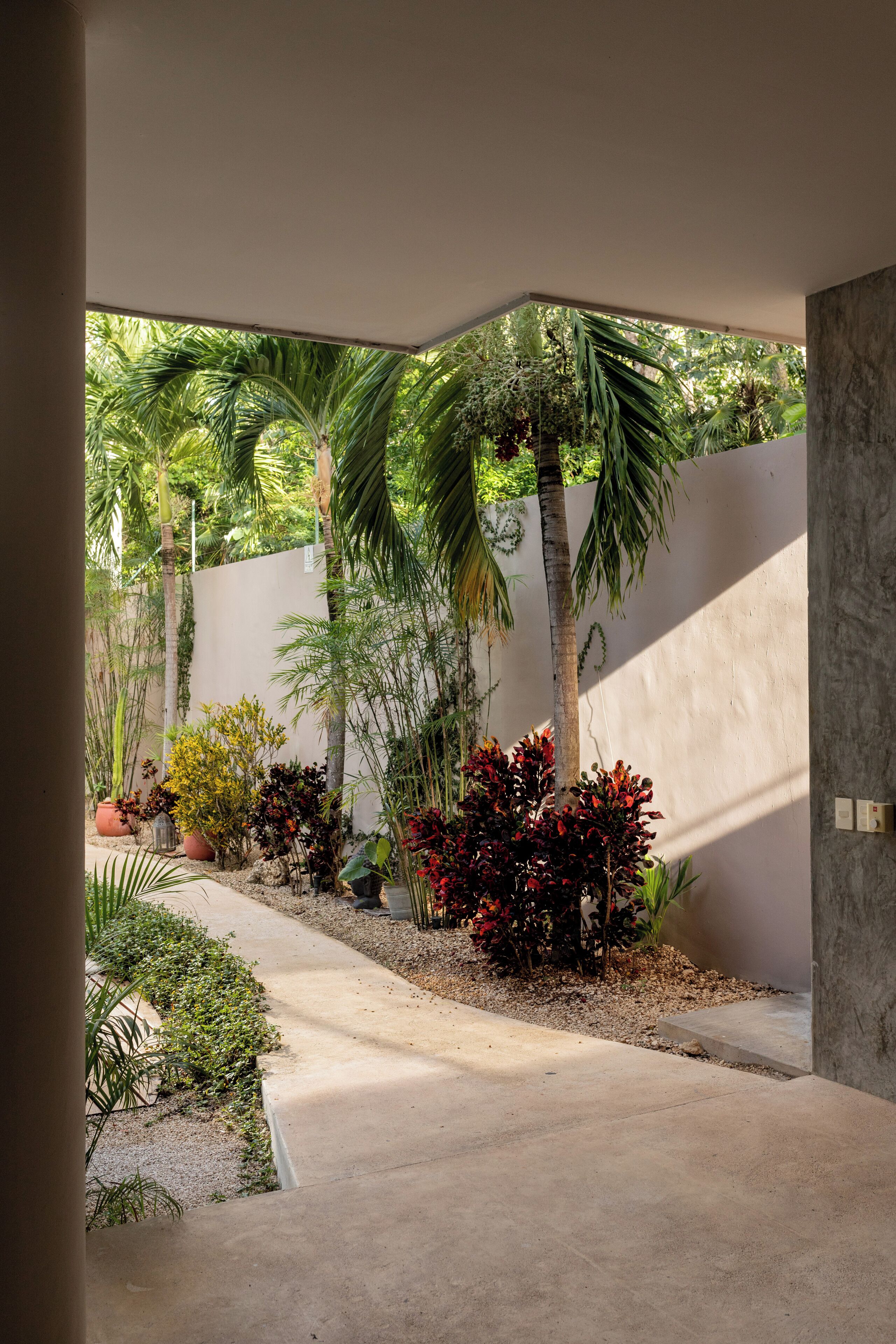 A modern outdoor space with a concrete pathway, palm trees, and various potted plants.