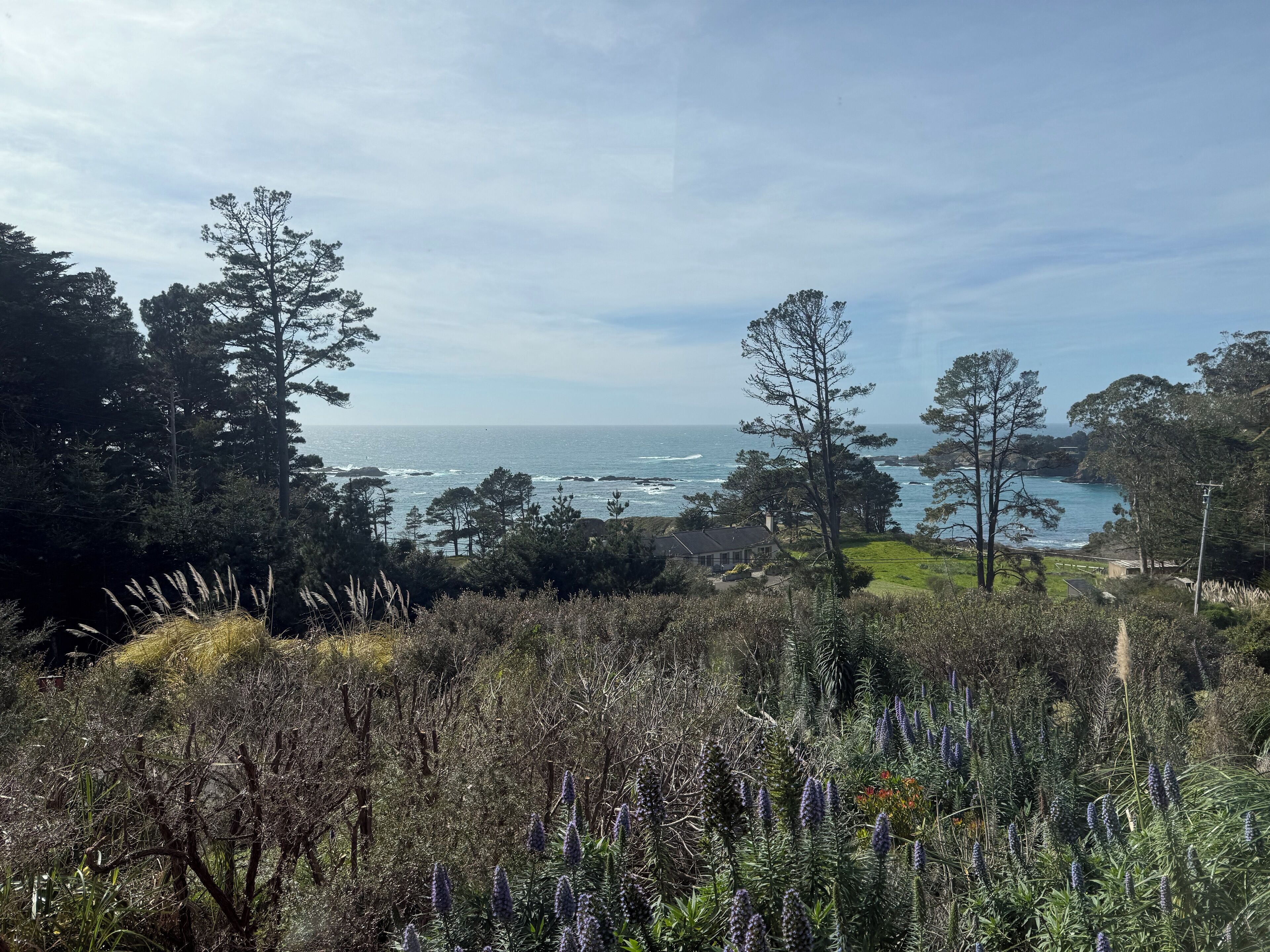 A coastal landscape with a view of the ocean, trees, and a grassy area.